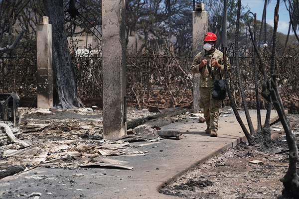 The aftermath of the fires in Hawaii