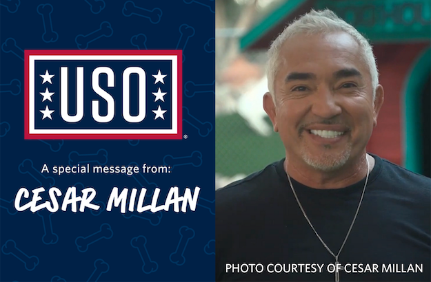 Photo courtesy of Cesar Millan