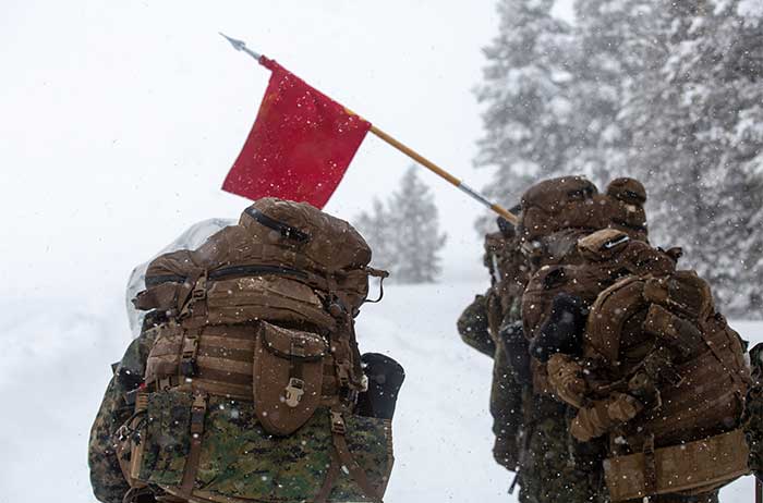 Service members in the snow